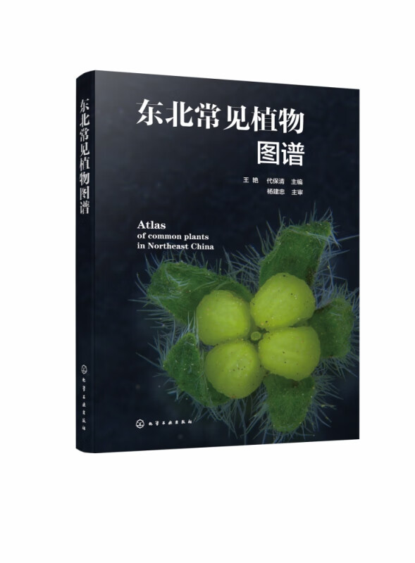 东北常见植物图谱
