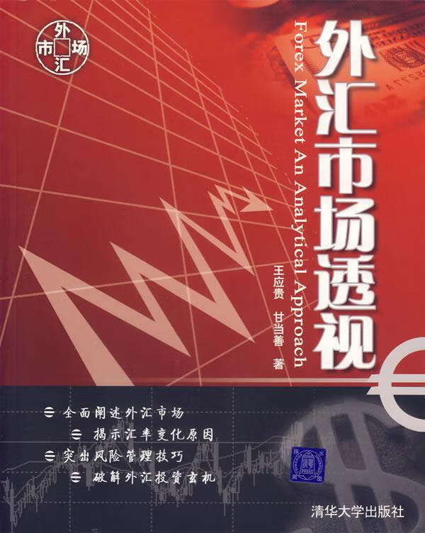 外汇市场透视 王应贵,甘当善 著【正版】