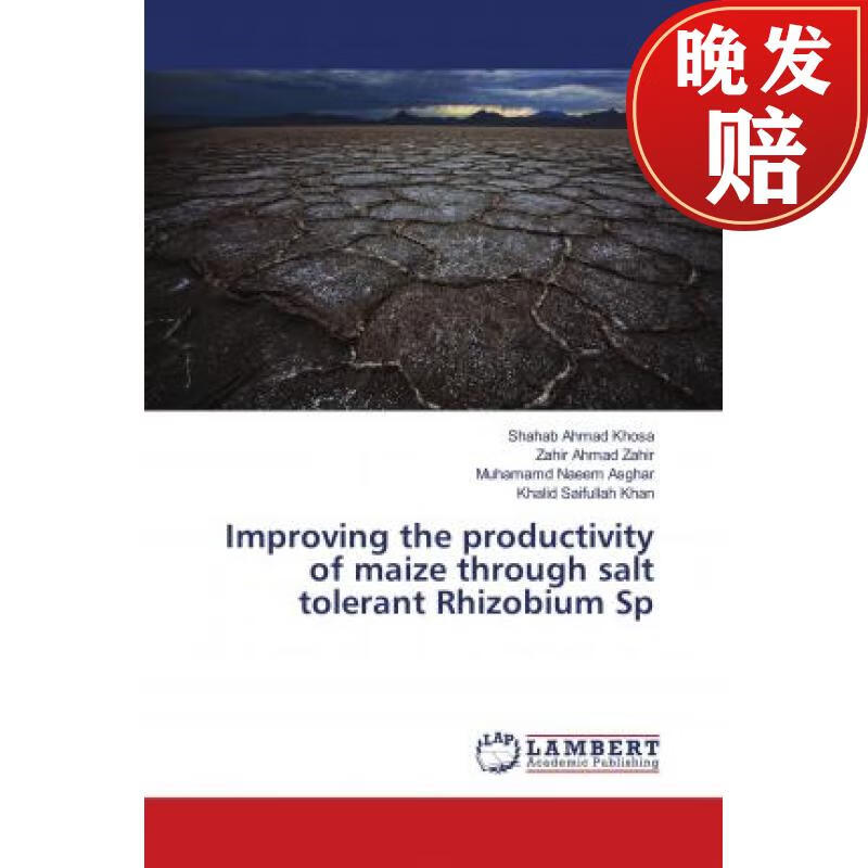 the productivity of maize through salt tolerant rhizobium sp