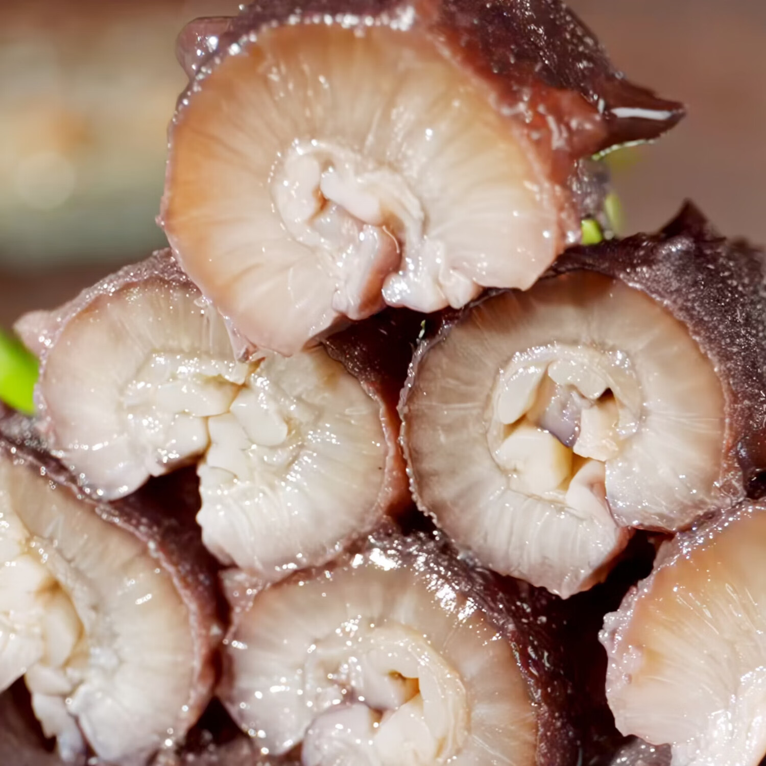 张奶奶 大连冷冻即食海参礼盒非干货天然辽刺参高品质海鲜无污染 即食海参 1500g 45-55头3斤礼盒装 体壁厚实 Q软弹牙