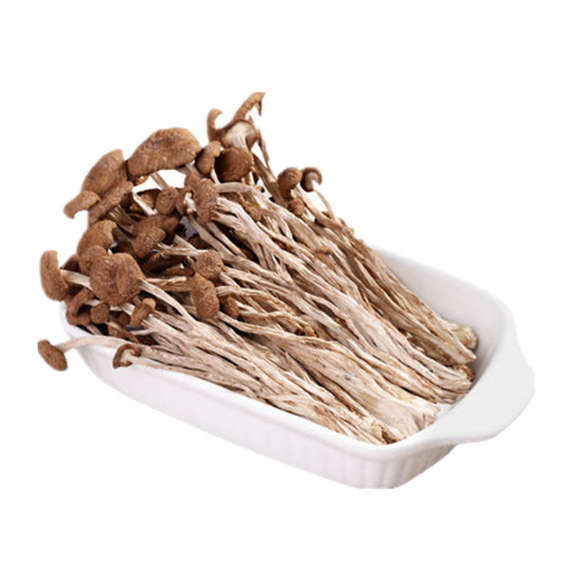 番薯鲜森福建茶树菇干货不开伞茶树菇嫩干锅煲汤食材菌菇 500g(未剪根