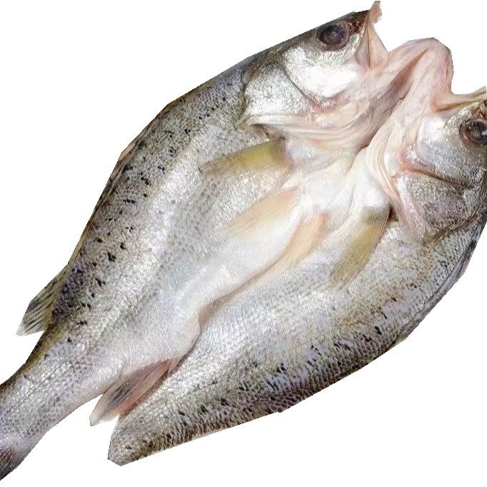 伊杰蔻【三去开背海鲈鱼】海鱼鲜冻七星鲈鱼烤鱼生鲜海鲜水产活鱼鲜制