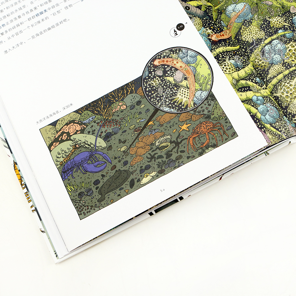 微观世界：谜一样的小生命（精装科普）2017年博洛尼亚国际童书展非虚构类“特别推荐奖”详情图