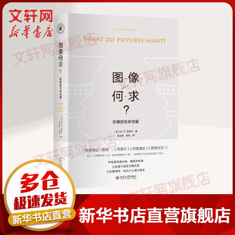 图像何求:形象的生命与爱 图书