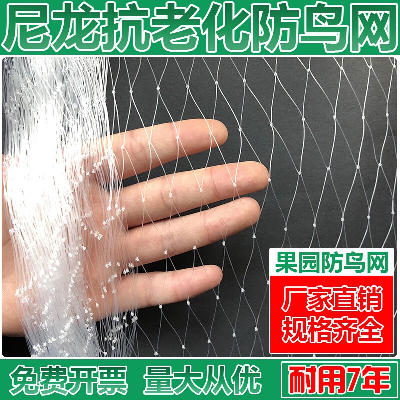 鹿凌青  防鸟用网鸽网防鸟天网防鸟尼龙网果园防鸟网果树防鸟罩 3米宽
