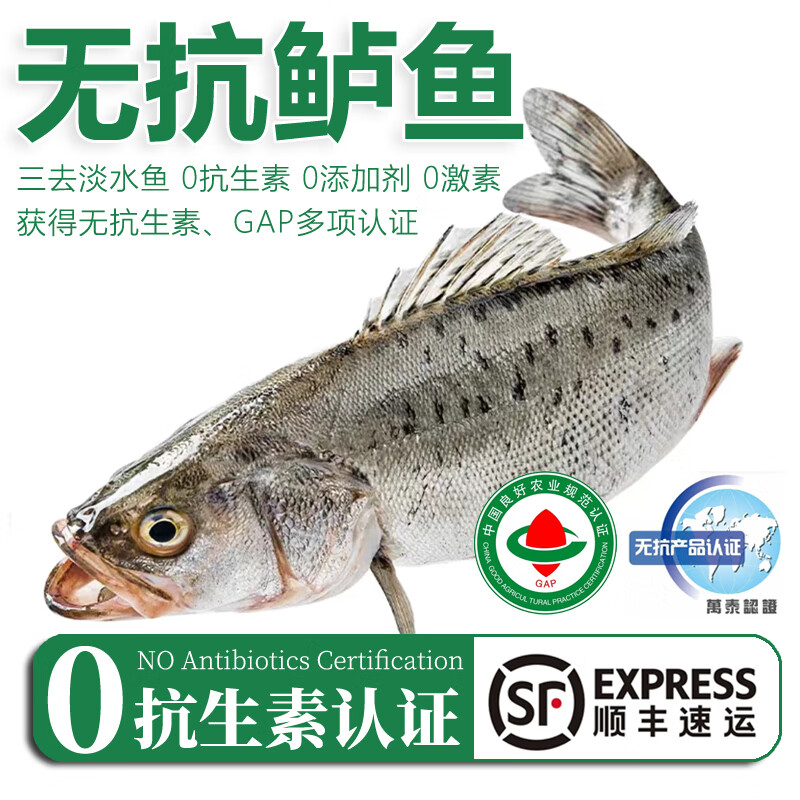 太湖海【淡水鱼无抗生素】孕妇儿童水产鲜活三去冷冻鱼类鱼校长生鲜