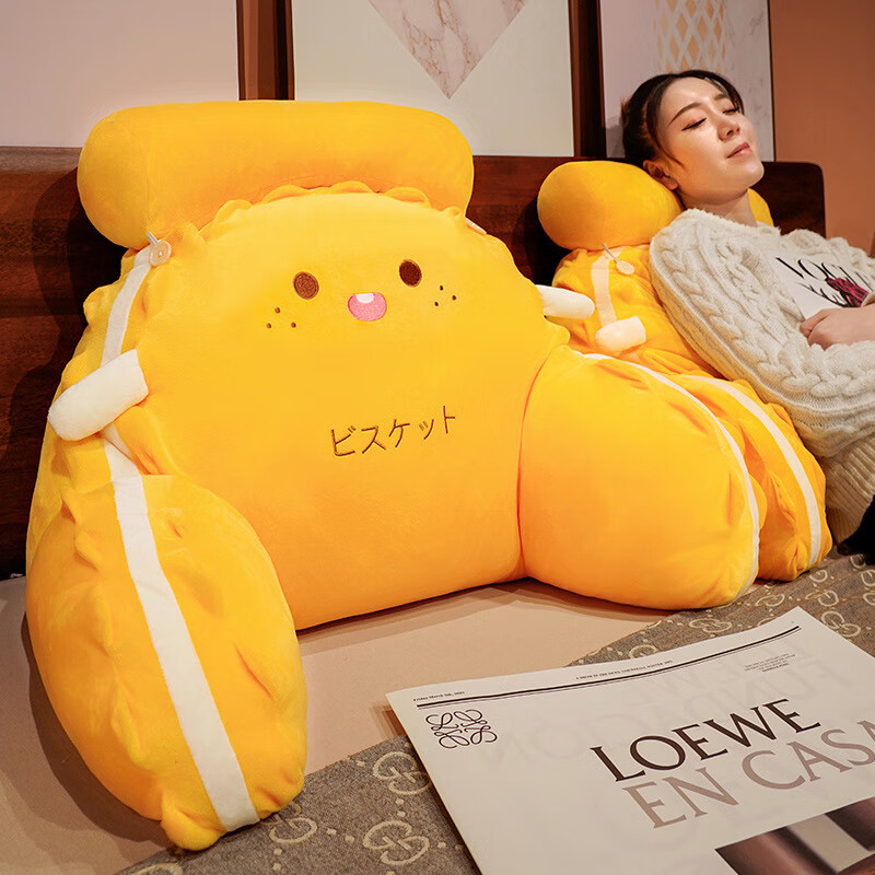 看抱枕靠垫历史价格|抱枕靠垫价格比较