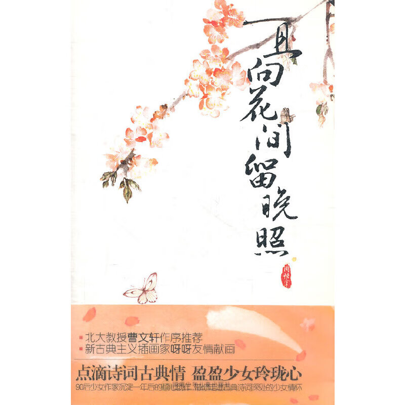 正版现货 且向花间留晚照 [小说.新]9787535863881