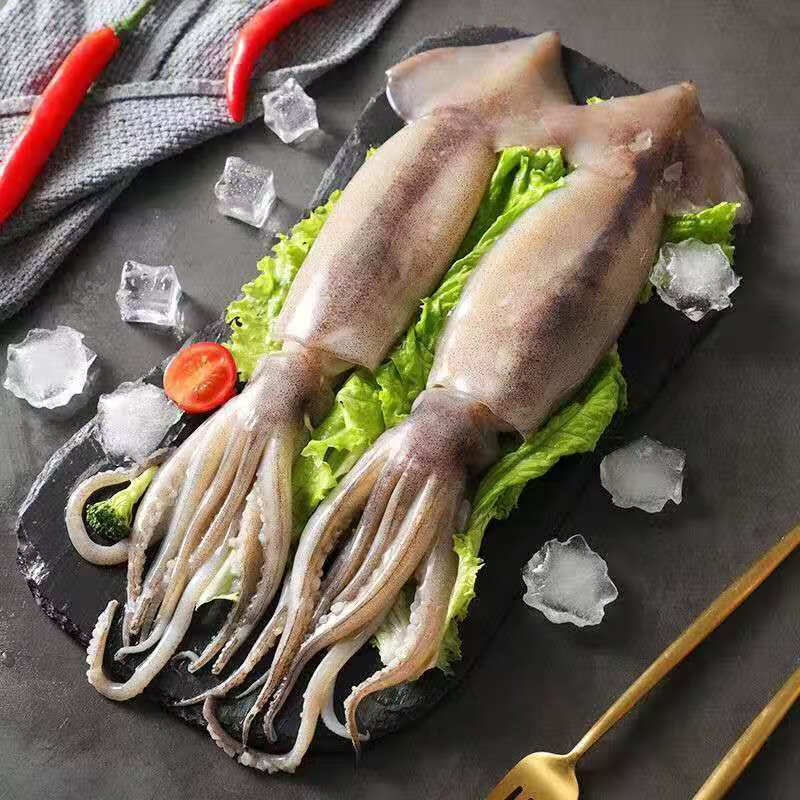 鱿鱼鲜活冷冻地道海味个长体肥肉质鲜美营养丰富健康 大鱿鱼500g*3份