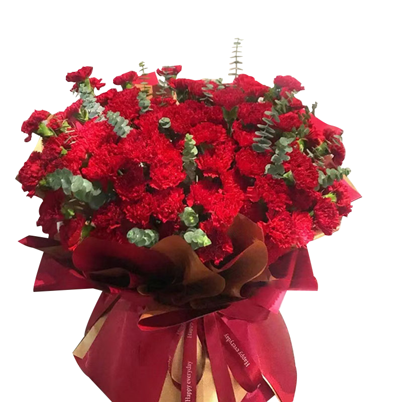 初卉鲜花同城配送玫瑰花束送老婆女友鲜花速递花店送花 19支红玫瑰花束-店长