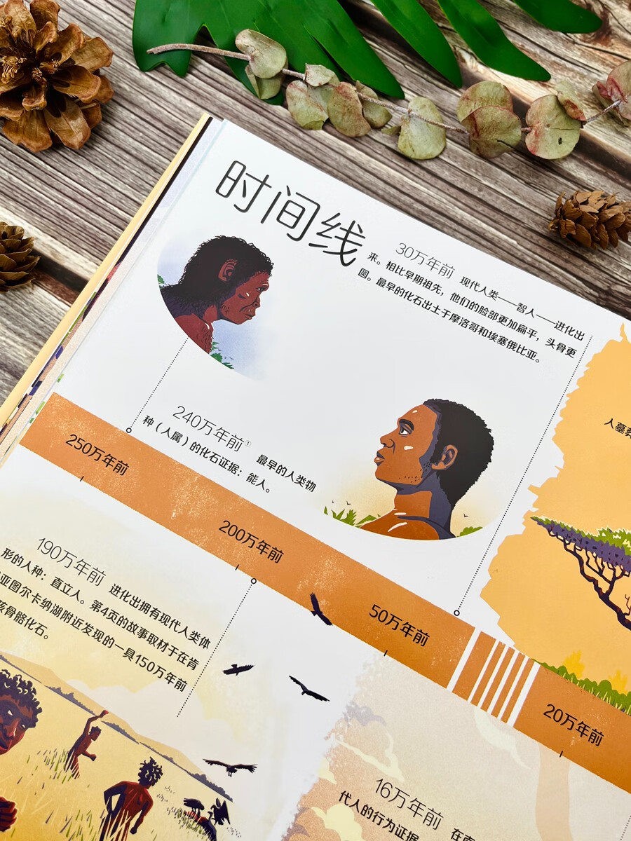 人类旅程：从非洲到全世界详情图