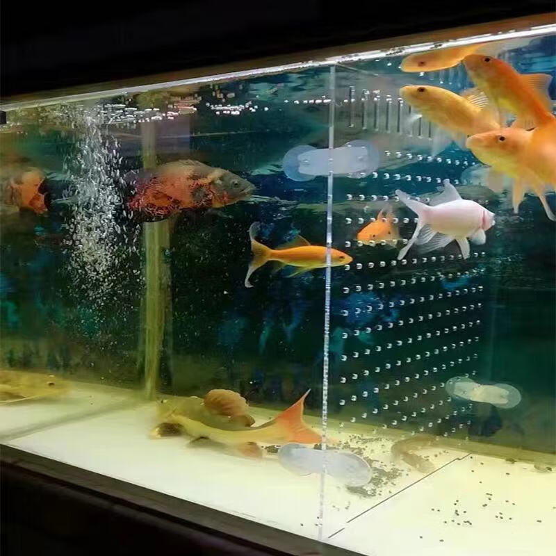 边胜鱼缸隔离板定制透明亚克力斗鱼孔雀鹦鹉苗网格分离隔断挡板水族箱 【高透明】宽19x高20x厚2mm+8个吸盘
