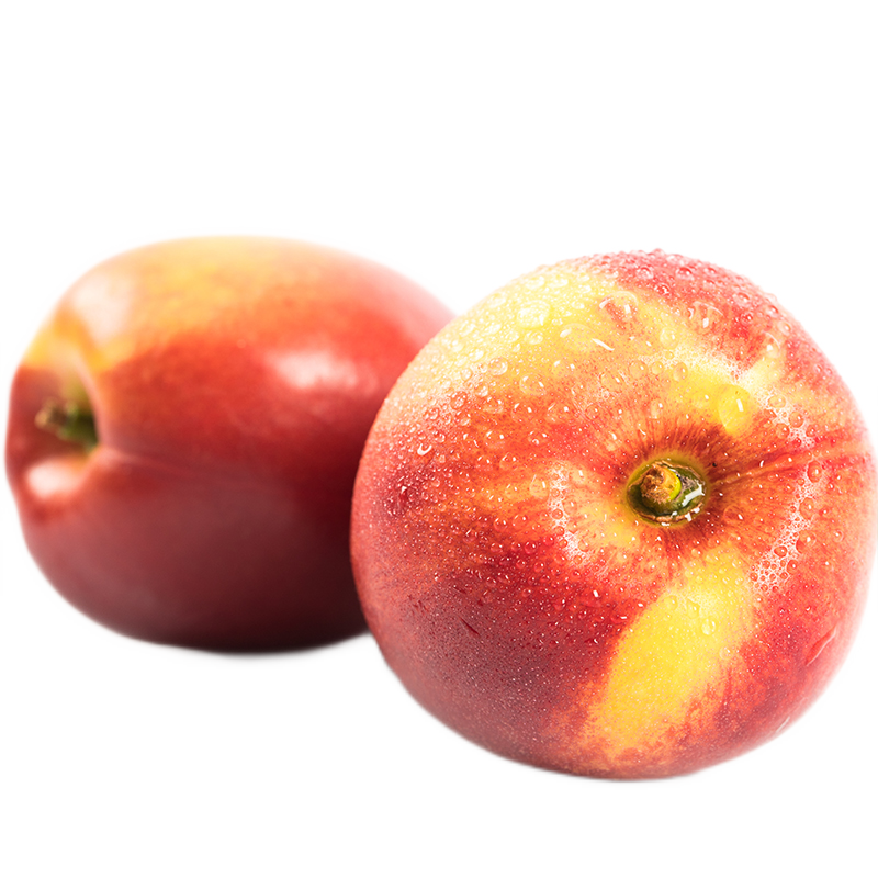 �ٹ�����ɽ���������Ҵ��Ҵ�ѩˮ��������ʱ��ˮ��Ӧ������Сë�Ҷ��� 4.5-5���ͥװ 25.98Ԫ