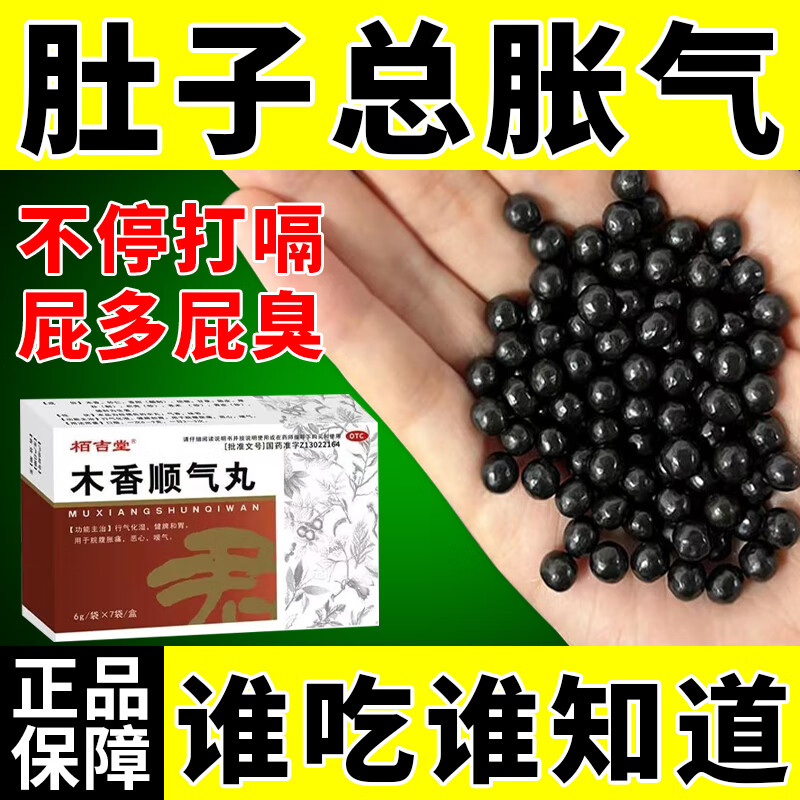 腹胀放屁消化不良饭后打嗝 胃炎肠胃药调理肠胃 木香顺气丸 1盒装
