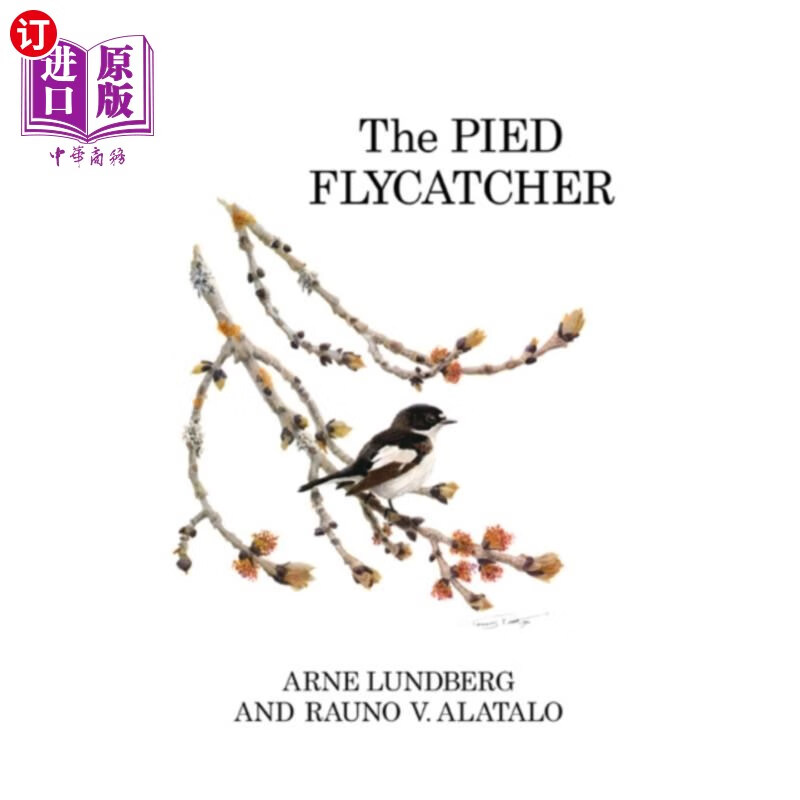 海外直订pied flycatcher 斑点捕蝇器