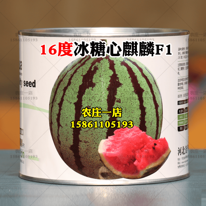 以琛8424麒麟无籽西瓜种子籽特大高产巨型甜王南方小四季蔬菜水果种孑 16度冰糖麒麟罐装怎么样,好用不?