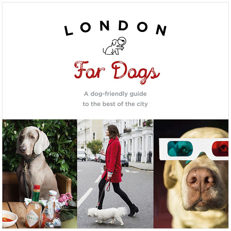 【现货】londonfordogs伦敦的小狗英文原版宠物生活摄影集