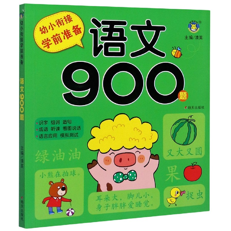语文900题/幼小衔接学前准备