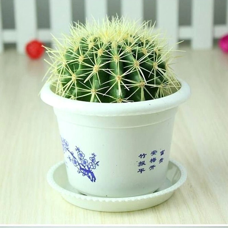 星兜 相关京东优惠商品人气降序 价格图片品牌优惠券 虎窝购