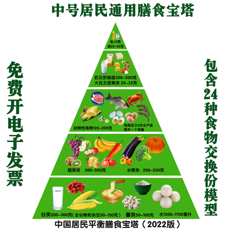 黛欣定制新版中国居民平衡膳食宝塔模型仿真食物金字塔交换份模型