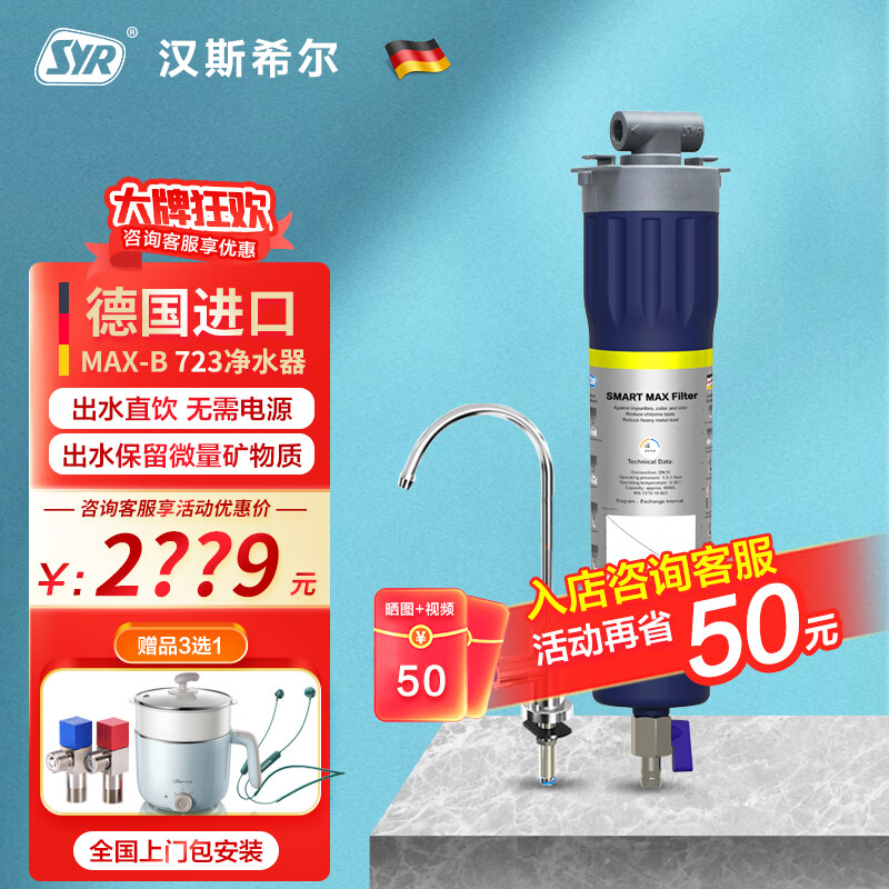 汉斯希尔(syr)德国进口家用前置过滤器反冲洗8组16片滤网40微米精度全