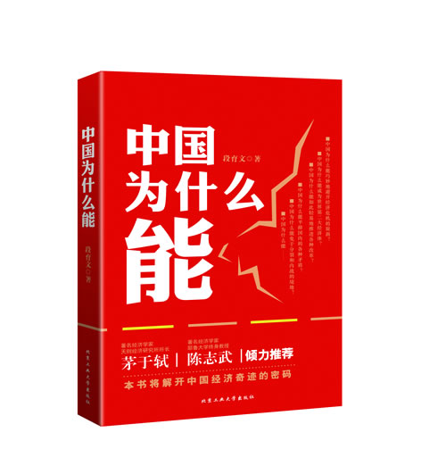 中国为什么能 段育文【书】
