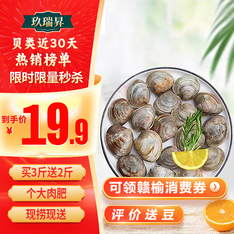 玖瑞昇 【源头直发】鲜活大美贝 5斤 每斤15-20粒 花甲 蛤蜊