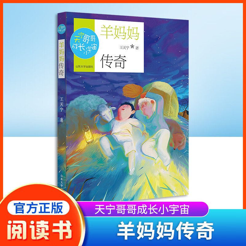 正版 天宁哥哥成长小宇宙 羊妈妈传奇fb王天宁著 冰心儿童文学奖获得