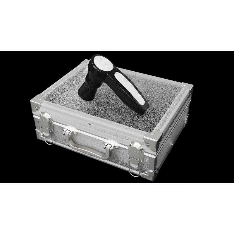 虹膜检测仪 高清变频自动调焦免驱虹膜检测仪 亚健康检测仪 标配虹膜