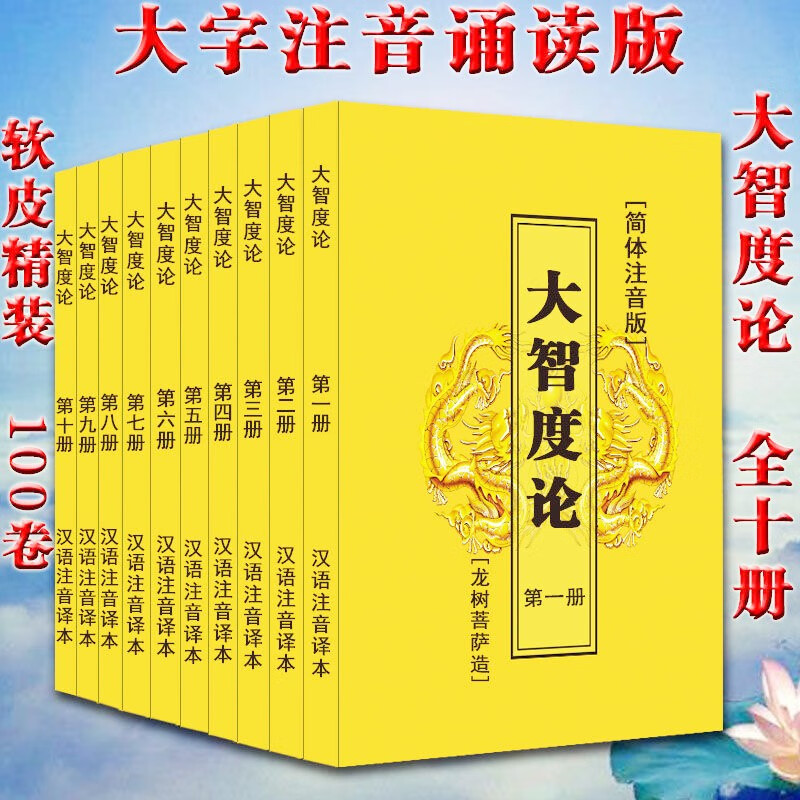 大智度论 龙树菩提造 全十册 简体注音版 软皮精装 100卷