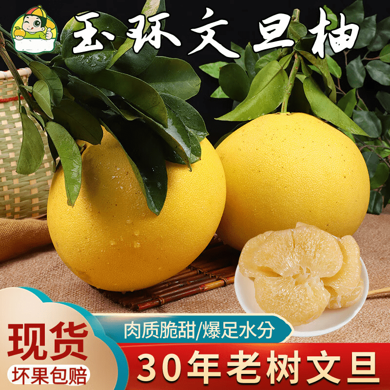 玉环楚门文旦柚子孕妇水果当季果现摘正宗浙江台州楚门特产蜜柚 9斤