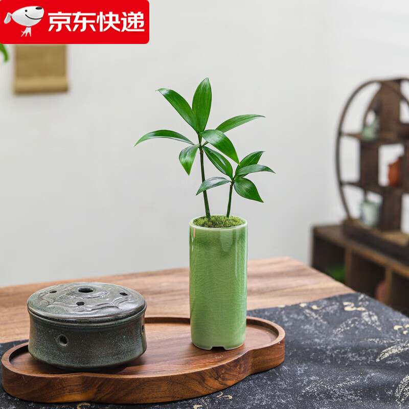 ���ڲ�������ѿ��������辰����Сֲ�����ڻ��ܰ칫�������ļ�������ֲ�������� ���-��ɫ����СֱͲ-�մ�ƿ �����Ժ�