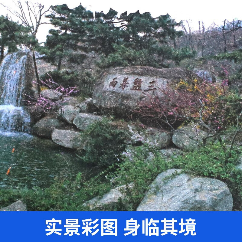 【全8册】中国地理百科全书中国地理百科全书旅游自然科普知识环球国家地理书籍8-10-12岁青少年版 中国地理8册