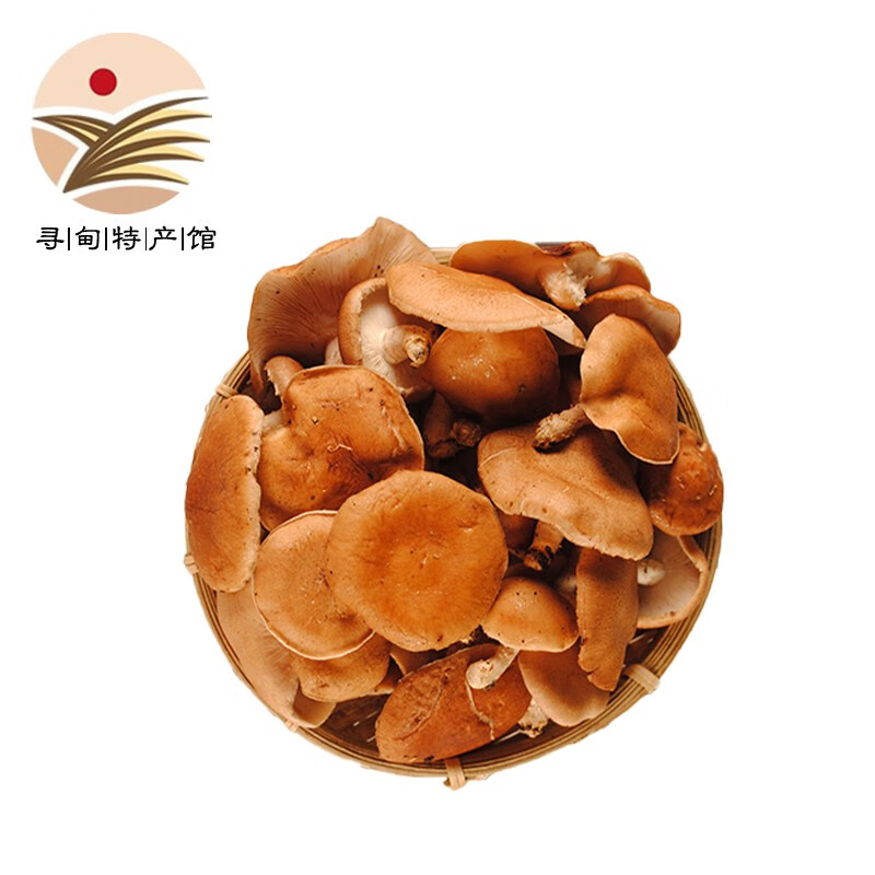 新鲜香菇高原特产香樟菌椎茸脆嫩爽口火锅煲汤食材500g 精选新鲜香菇