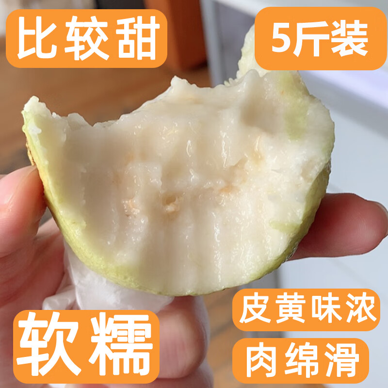 教蔬鲜生云南腾冲特产水果 野生芭乐5斤新鲜现摘老缅桃傣族果子番石榴
