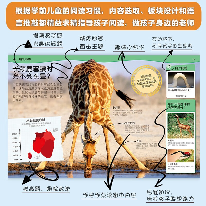 DK学前儿童为什么小百科系列（全5册）含综合/科学/人体/动物/地理 开学必备 课外读物详情图