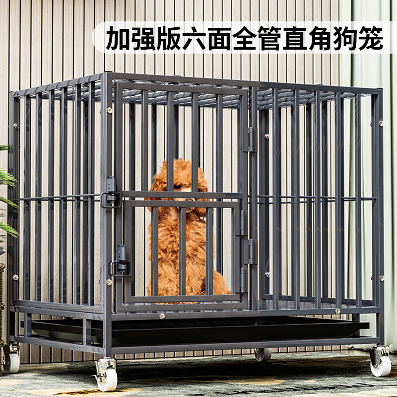 �����衾�ؼӺ�ܱڡ�����ȫ���ܹ����Ӵ���С��Ȯ���ﹷ����ë������Ʒ �غ�ܱ�ح600-̫�ջ�-����20��