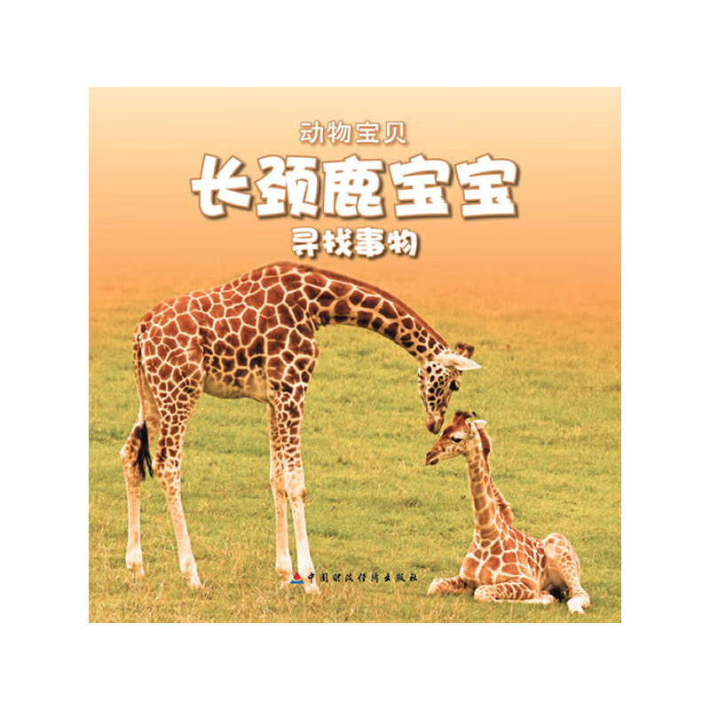 长颈鹿宝宝高又大