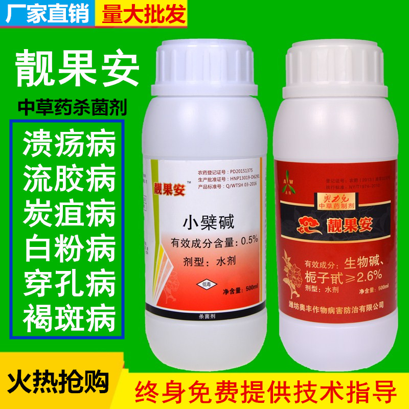 靓果安果树小檗碱农药剂柑橘溃疡病芒果角斑病猕猴桃桃树流胶杀菌剂