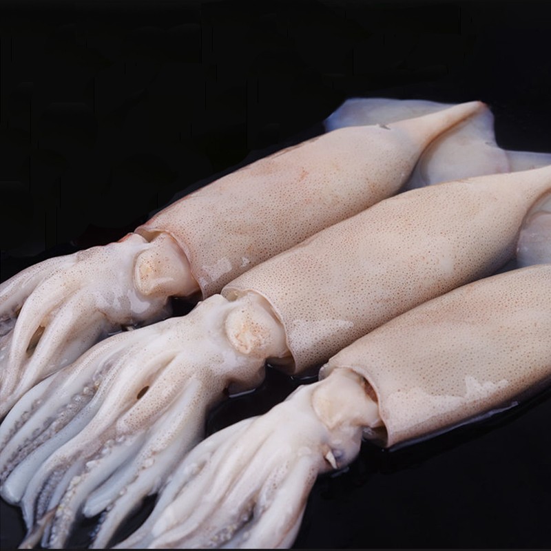 挑霸 鲜冻鱿鱼(3-4条/5斤) 冷冻鱿鱼船冻鱿鱼整条整只 1斤大鱿鱼(拍5