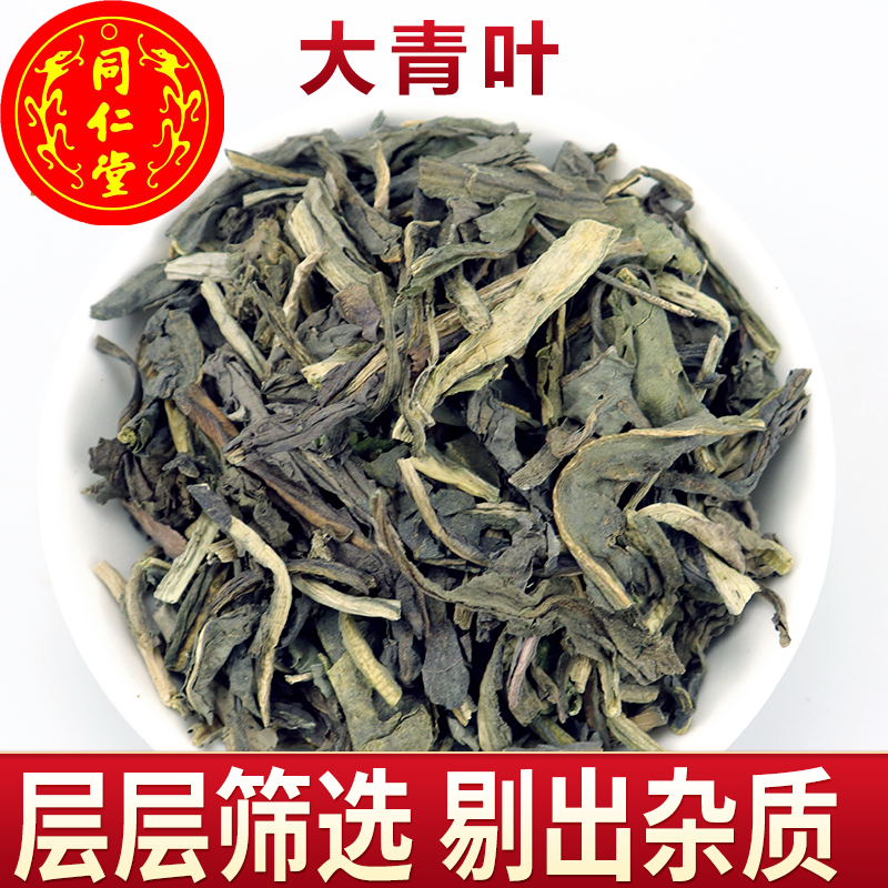 北京同仁堂野生新鲜大青叶根 蓝叶茶蓝菜 路边青叶粉 板蓝根叶子中
