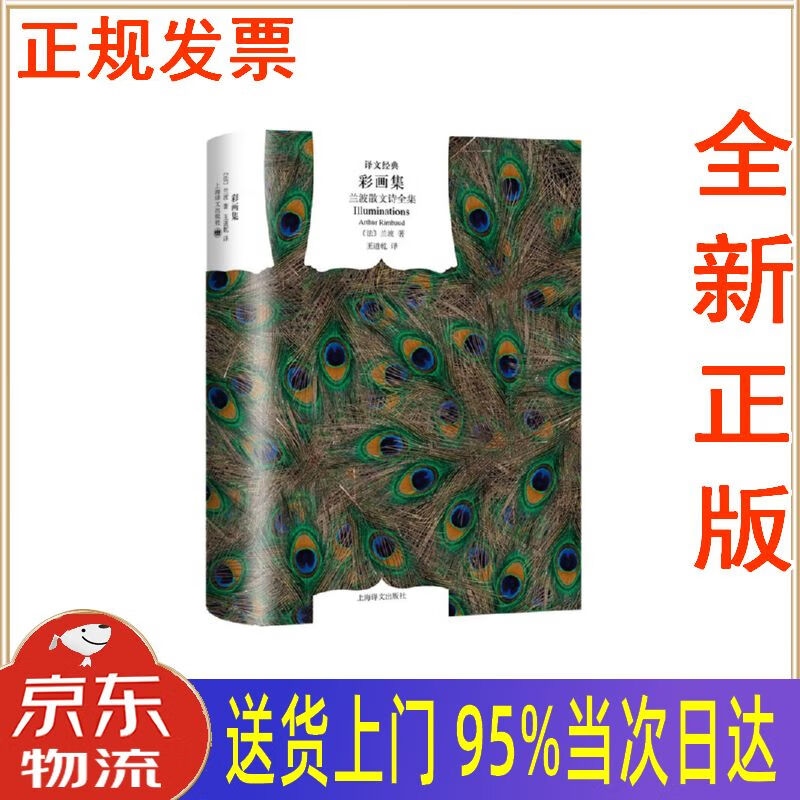 【新华正版 全新书籍】文学名著·译文经典:彩画集——兰波散文诗全集