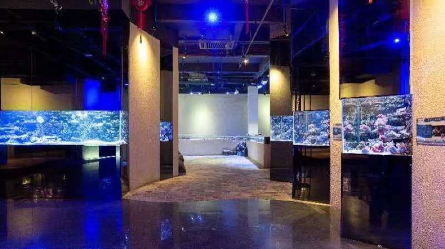 汕头海门莲花峰海洋文化馆门票儿童票 汕头海门莲花峰海洋文化馆 景点