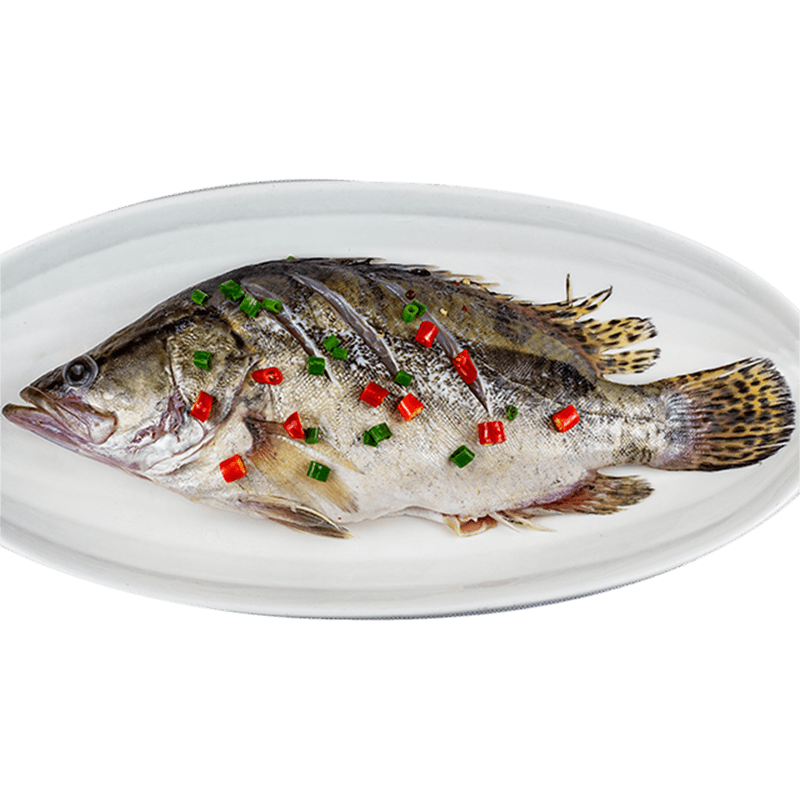 ��������������㾻�Ű��ջ�ɽ�ز����ڻ��ݳ�����������ϰ� ��հ�װ ����������3.3�� 236Ԫ