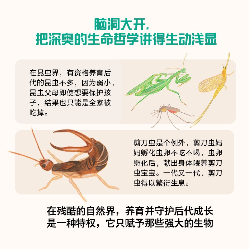 自营【入选爱阅100推荐阅读小学书单】每个生命都重要 给孩子的生命教育书 29种隐藏进化的奥秘生物 风靡日本的动物生死书 中信出版社