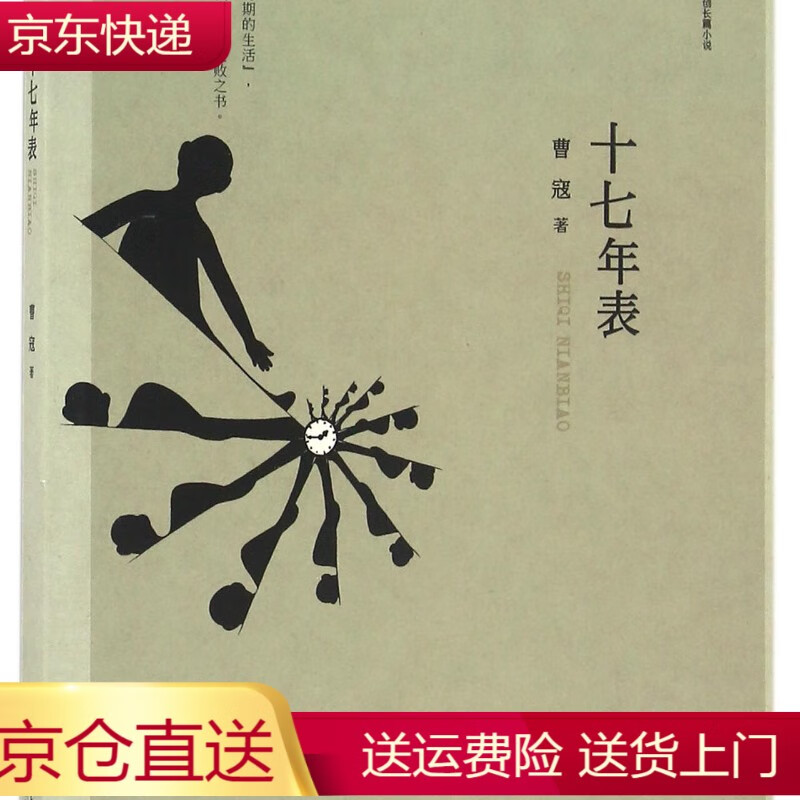 十七年表 畅销榜小说