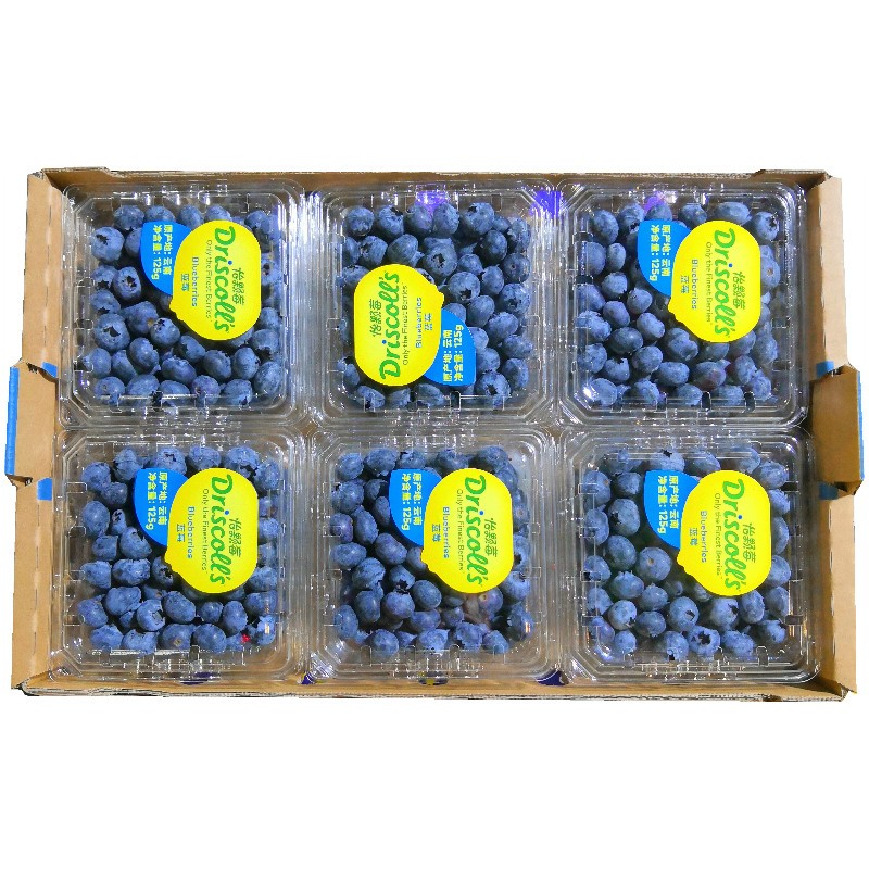 【顺丰速运】 润家福 精选新鲜怡颗莓蓝莓蓝梅新鲜水果 12盒原箱普通版