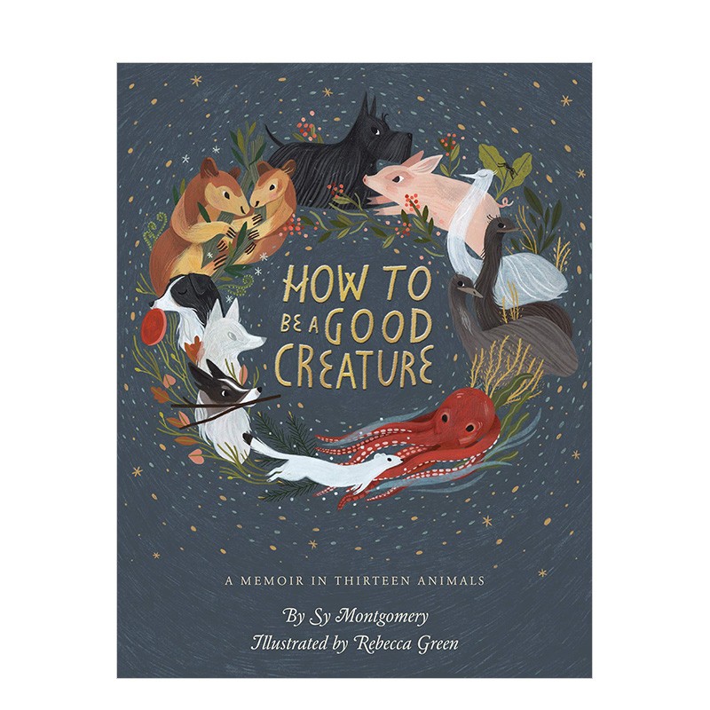 【现货】rebecca green绘画作品 sy montgomery如何成为个好动物 英文