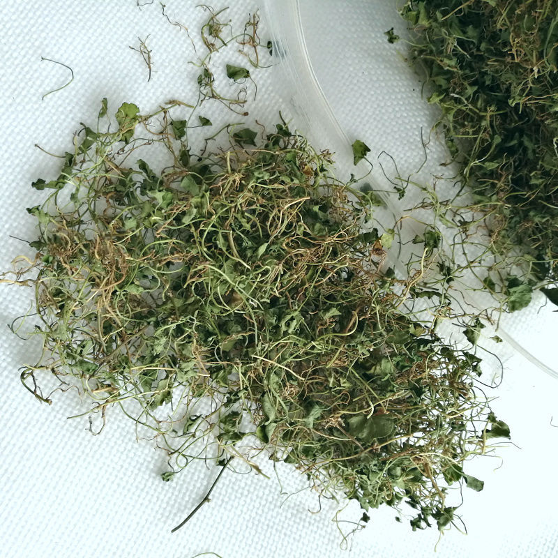 金钱草四川小叶金钱草干中草药材金钱草茶马蹄金500g产地直发 500g