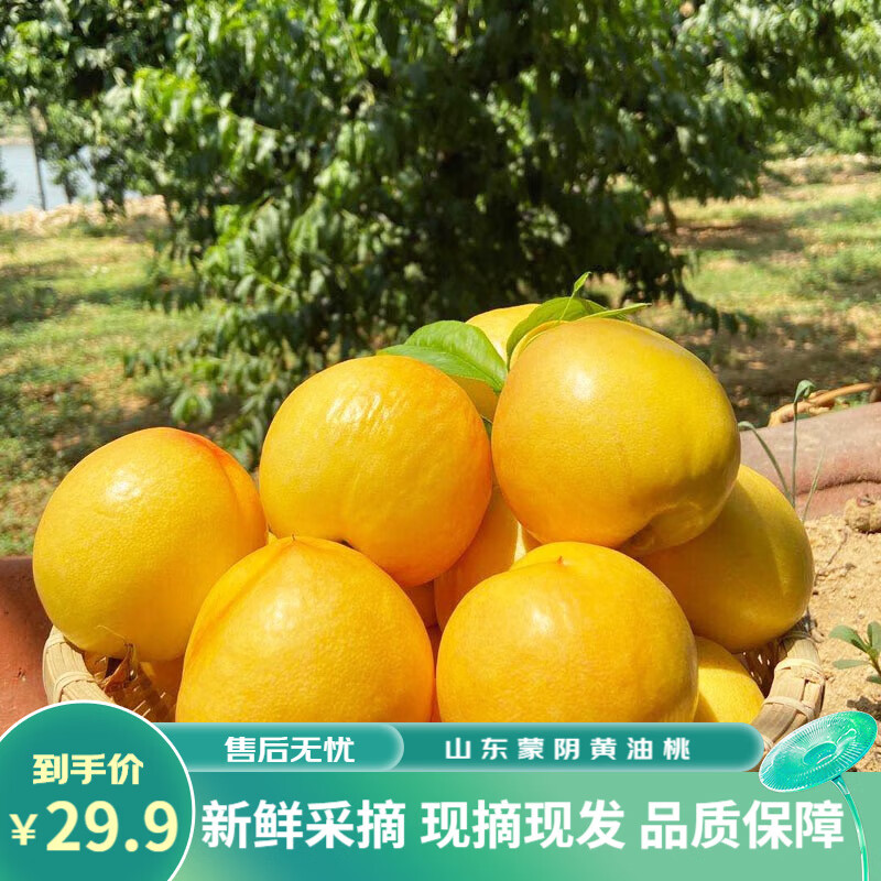 电商桃价格变化查询|桃价格走势图